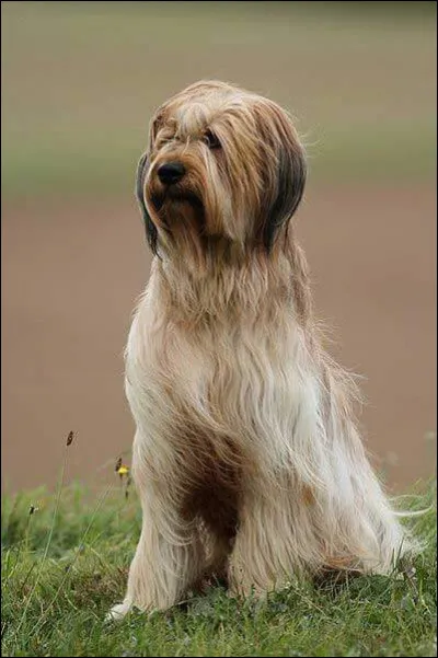 Rage : à quel scientifique doit-on le vaccin contre la rage ?