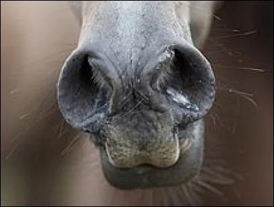En un mot commençant... et finissant !