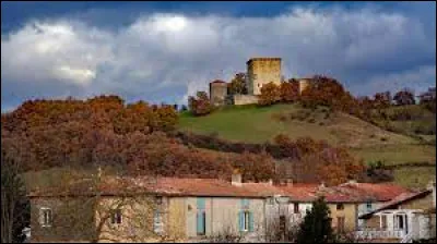 Je vous propose d terminer notre balade en Occitanie, à Saint-Quentin-la-Tour. Village de l'arrondissement de Pamiers, dans le pays d'Olmes,il se situe dans le département ...