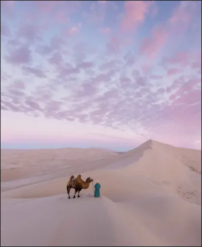 Sur quel continent se situe le désert de Gobi ?