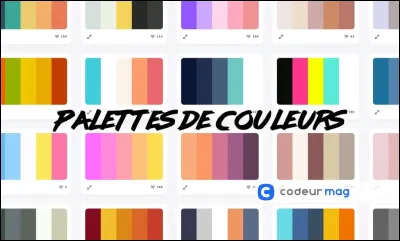 Ta couleur préférée est...