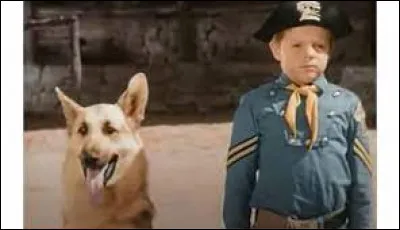 Qui est ce chien qui fut le héros d'une série des années 50 ?