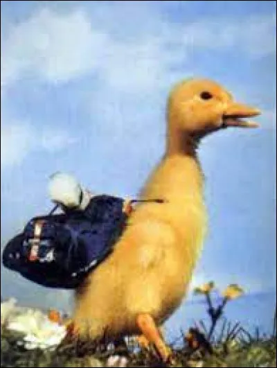 Qui est ce canard jaune vedette d'une série télévisée des années 60 ?