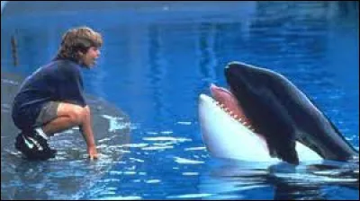 Quel animal était le héros du film "Sauvez Willy" ?