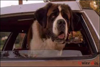 Combien de films ont pour personnage principal un chien nommé Beethoven ?