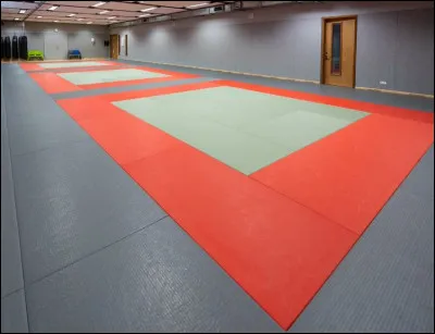 Enfin, dans cette salle avec des tatamis, les policiers ont la possibilité de pratiquer des sports de combat et de self- défense. Ceci est...