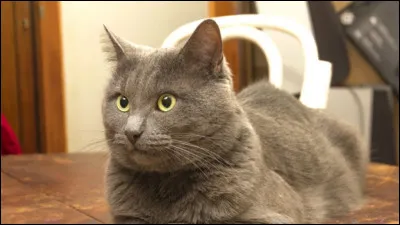 Tu pr&eacute;f&egrave;res...