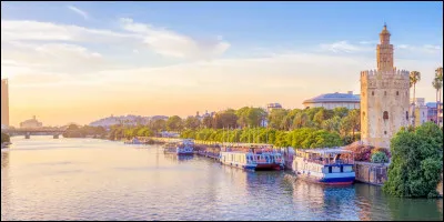 Géo : Lequel de ces cours d'eau ne passe pas par l'Espagne ?