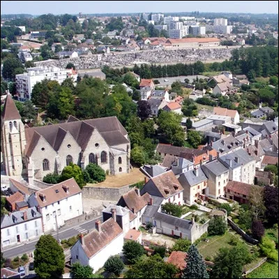 Dans quelle r&eacute;gion naturelle fran&ccedil;aise, &agrave; cheval sur les d&eacute;partements de la Loire et du Cher, se trouve la ville de Vierzon ?