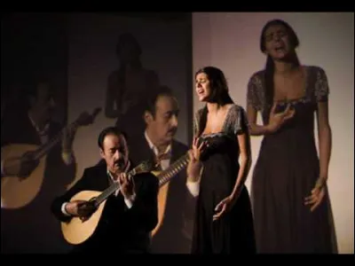 Arts : Comment s'appelle le style de musique tradionnelle du Portugal ?