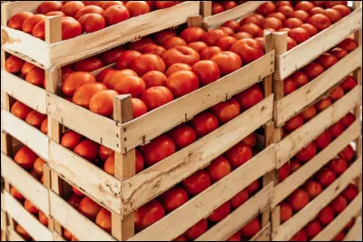 Quel pays est le plus grand producteur de tomates au monde et de loin ?