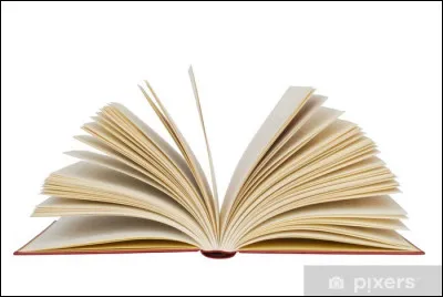 Quel genre de livre préfères-tu ?