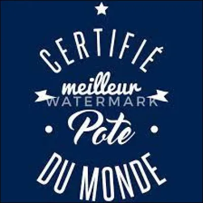 ''C'est mon meilleur ami, c'est __ ____.''