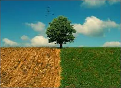 Complétez cette célèbre phrase : "L'herbe est toujours plus verte...