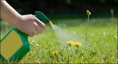 Qui a réalisé le film "Mauvaises herbes" sorti en 2018 ?