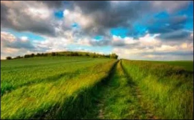 Combien de points le mot "herbe" rapporte-t-il au Scrabble ?
(si aucune lettre, ni aucun mot ne compte double ou triple)