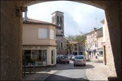 Nous terminons notre balade en Nouvelle-Aquitaine, à Vouillé. Ville de l'aire d'attraction Poitevine (ou Pictavienne), elle se situe dans le département ...