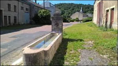 Nous sommes dans le Grand-Est, à Varvinay. Village de l'aire d'attraction Sammielloise, il se situe dans le département ...