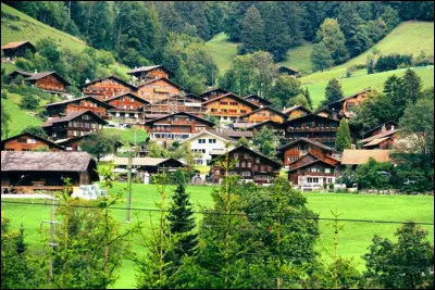 Culture : Laquelle de ces langues, n'est pas une des langues officielles de la Suisse ?