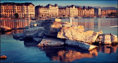 Économie : Laquelle de ces propositions n'est pas une spécialité de production ou de savoir-faire suisse ?