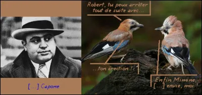 Il y en a un qui va l'avoir dans le nid...