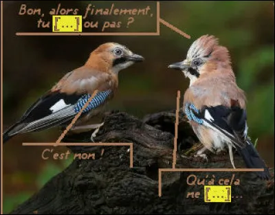 Pas facile, la vie de plouc !