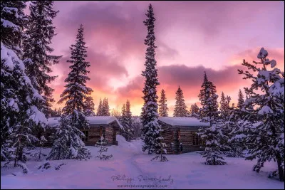 Politique : Qu'est-ce que la Finlande a été le premier pays au monde à faire ?