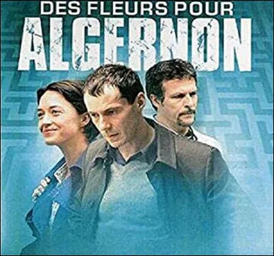 ''Des fleurs pour Algernon'' est un roman de Daniel Keyes. Qui est Algernon ?