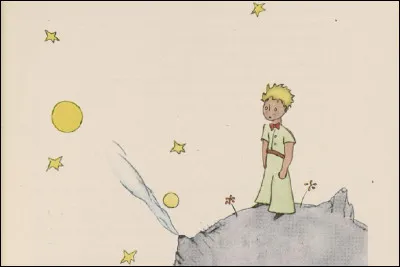 De quelle fleur ''Le Petit Prince'' prend-il soin ?