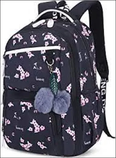 Quel cartable choisis-u pour la rentrée ?