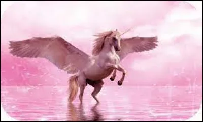 Quelle licorne voudrais-tu être ?