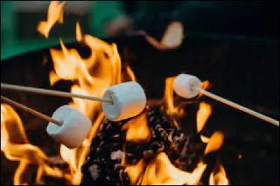 Une fois au camping, vous faites un feu pour faire griller des marshmallows, que fais-tu ?