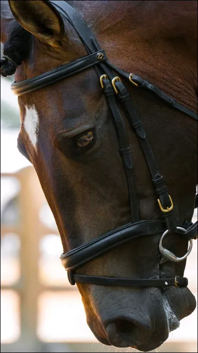 Que signifie BANC ?Une seule r&eacute;ponse m&ecirc;me s'il y a d'autres possibilit&eacute;s.