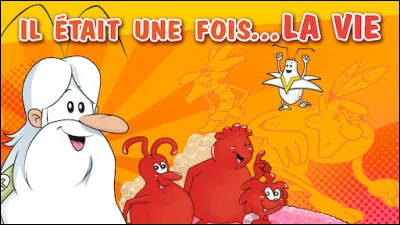 "Il était une fois... La vie" est une série télévisée d'animation française diffusée sur la chaîne...
