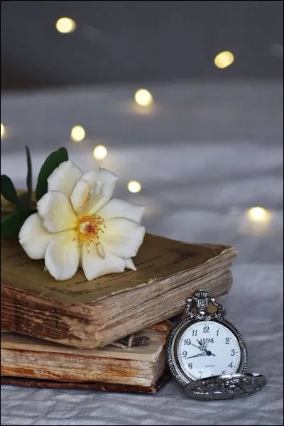 Sur quoi portent les "Propos" de l'écrivain Alain ?