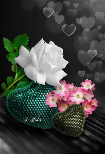 Dans la chanson de Joe Dassin, quel est ce sentiment à qui il s'adresse en disant "Si tu t'appelles..." ?