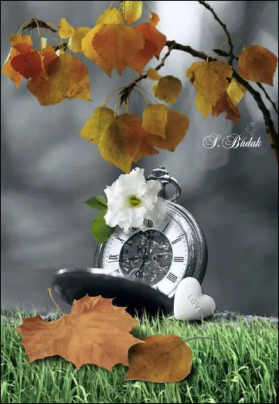 Dans sa chanson, quel sentiment rejette Goldman par les paroles "Tout mais pas le temps qui meurt et les jours qui se ressemblent, sans saveur et sans couleur... tout mais pas..." ?