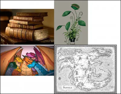 Quaimerais-tu le plus si tu étais un dragon ou autre chose ?