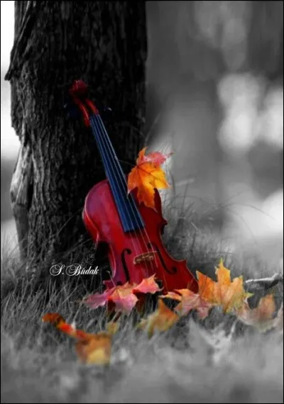 Ministère A.M.E.R est un groupe de Hip Hop et rap dont Passi fait partie. Leur premier album évoque un sentiment qui les interroge ?