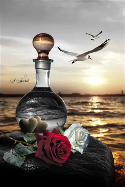 Allez, voici un vrai cadeau pour vous prouver mon amitié ! Selon un bon vieux proverbe sur la redoutable loi des séries, qu'est-ce qui n'arrive jamais seul ?