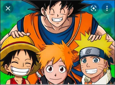 Qui appartient au bon manga ?