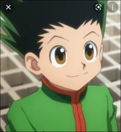 Qui est le meilleur ami de Gon ?