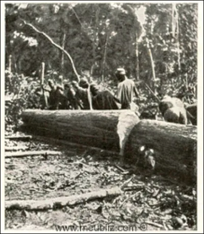 Lequel de ces humoristes est né à Bois-Colombes ?
