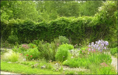 Qu'étaient ''les simples'' au Moyen Âge ?