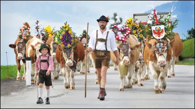 Culture : Comment s'appelle cette migration de bétail que l'on peut observer notamment dans le Tyrol ?