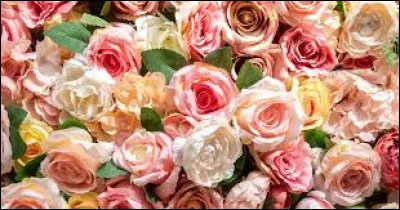 Quel est ton mois de naissance ?