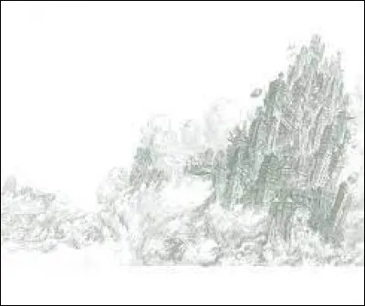 Qui est l’esprit de famille d'Anima ?