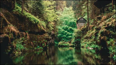 Culture : En accord avec une tradition du Moyen Âge, que chassent les Tchèques la nuit du 30 Avril ?