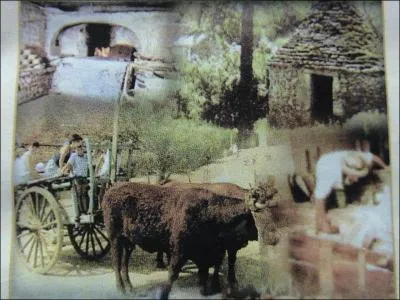 J'en profiterais une fois sur place pour pousser la visite jusq'au muse de plein air  Quercy de Cuzals, endroit qui se trouve galement...
