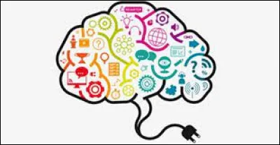 Qu'aimerais-tu apprendre ?